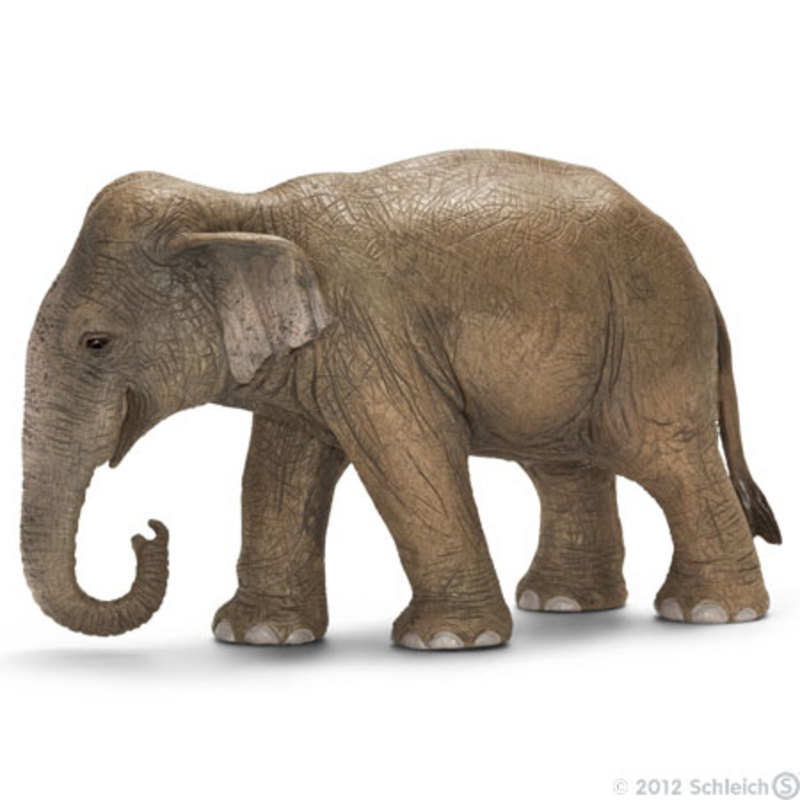 Słoń indyjski samica - 14654 - 24,22 PLN